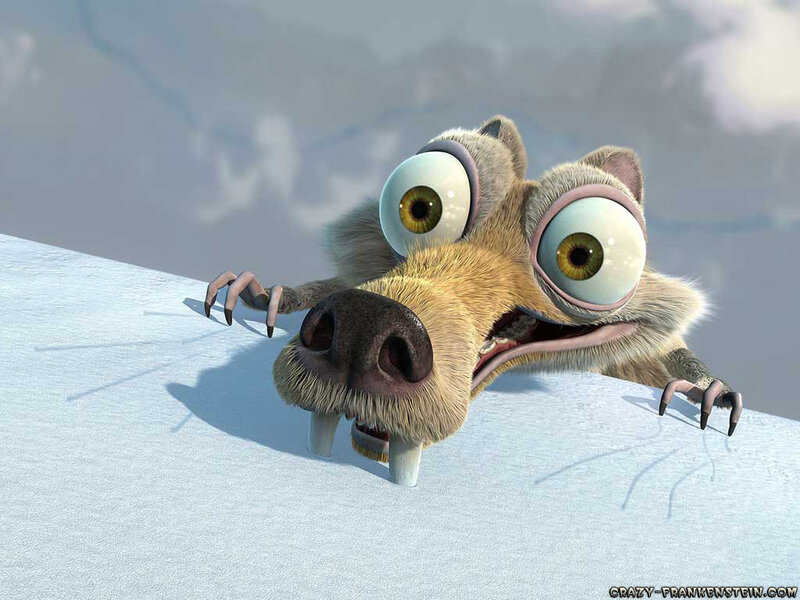 Scared sloth on ice