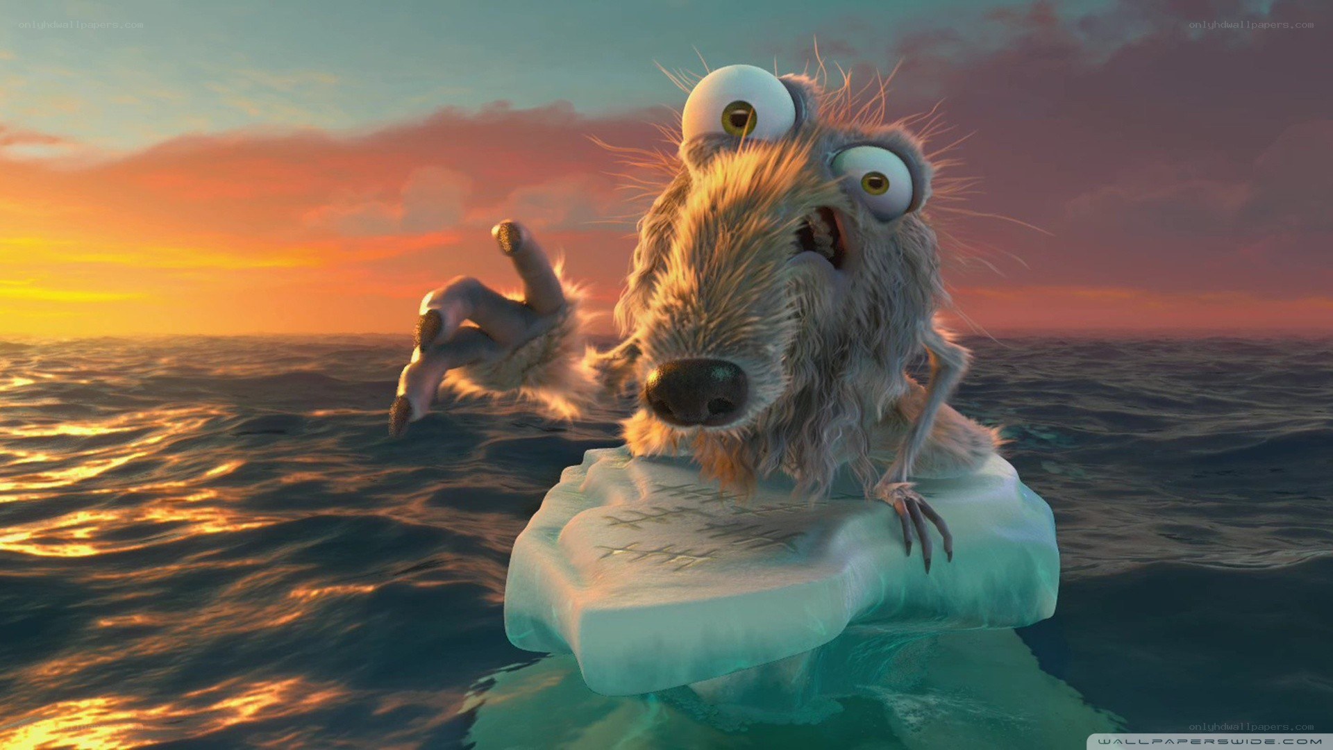 Scared sloth on ice floe