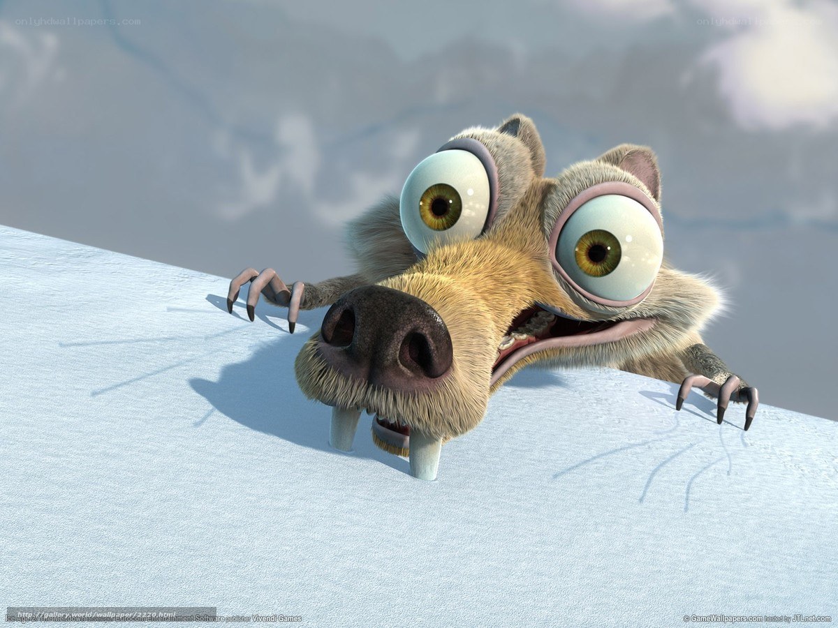 Scared sloth on ice