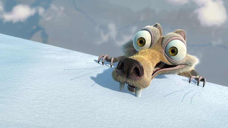 scared sloth on snow