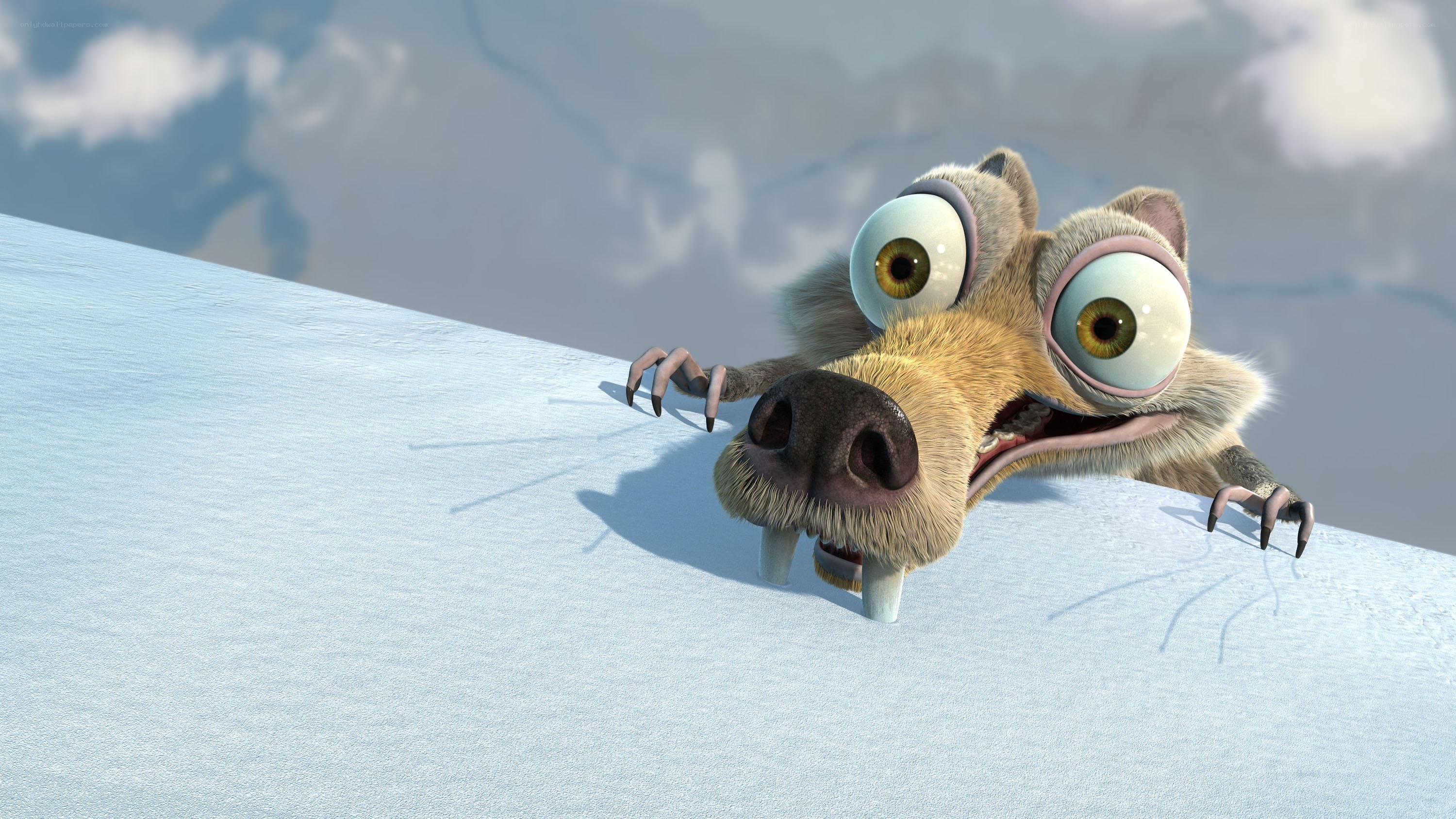 scared sloth on snow