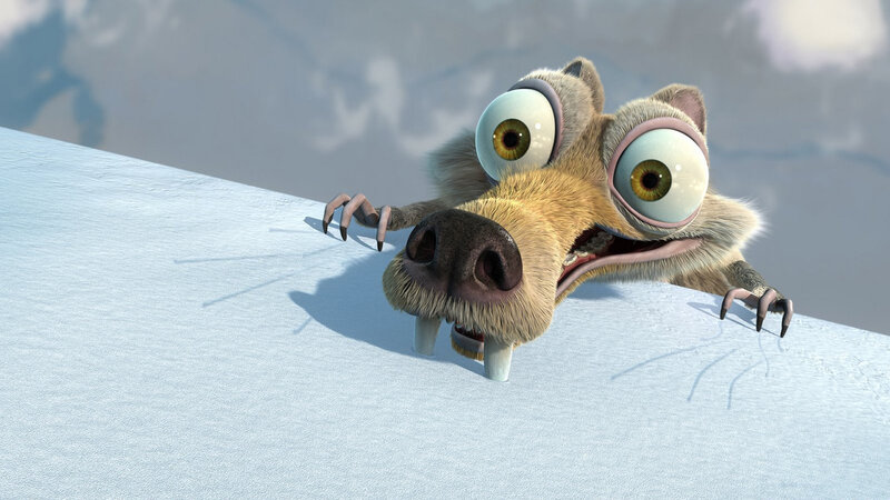 scared sloth on snowy hill