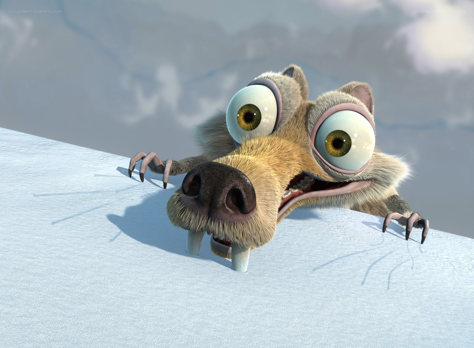 Scared sloth on snowy hill