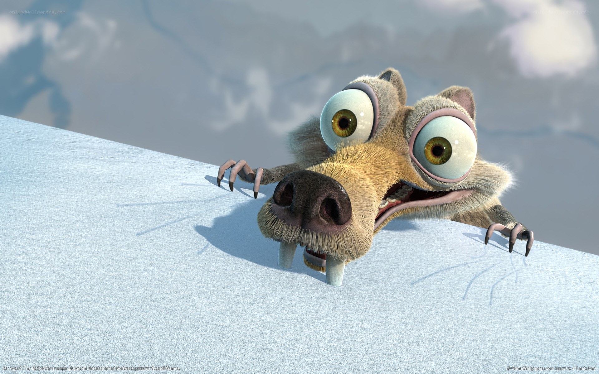 Scared sloth on snowy hill
