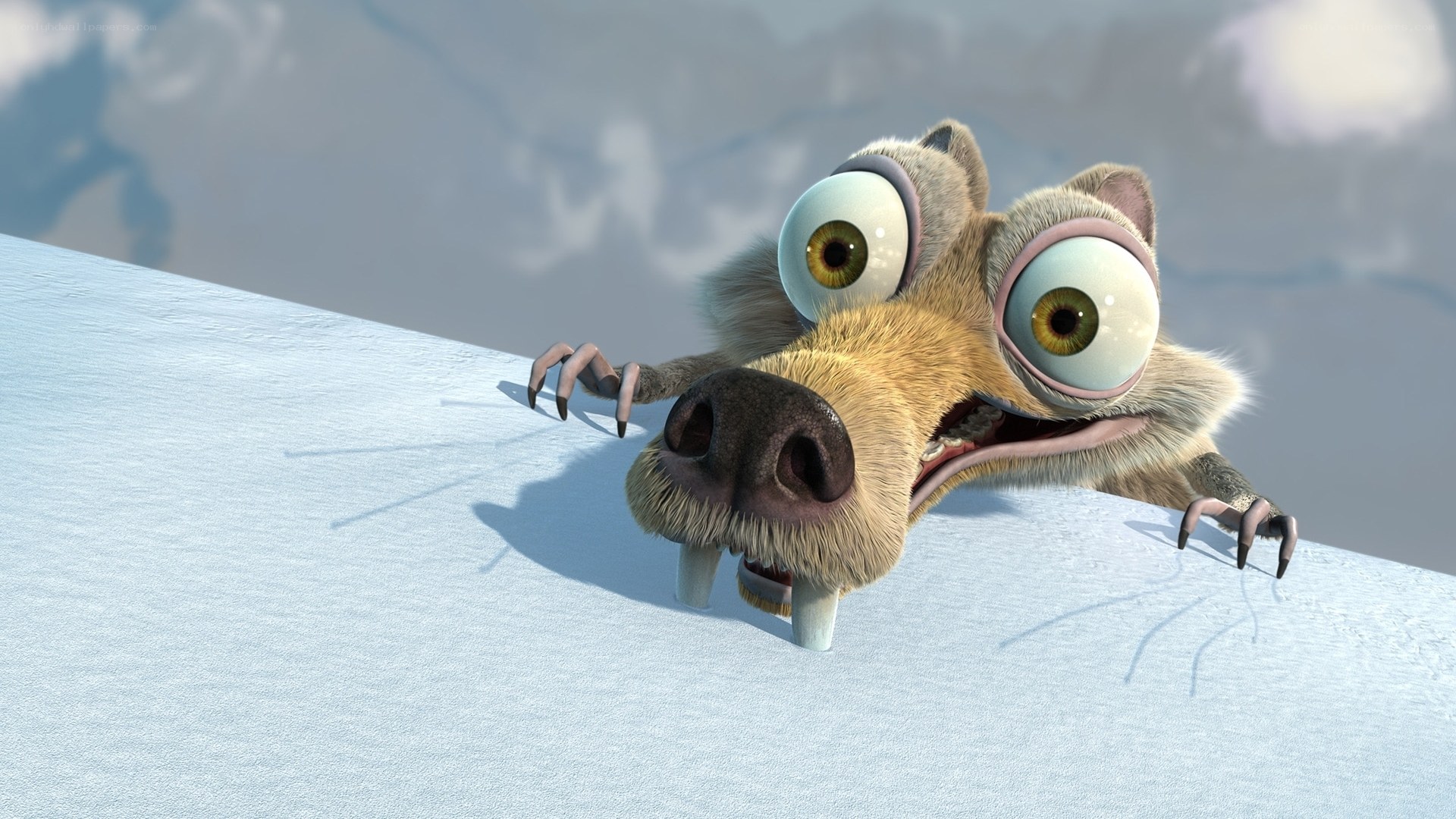 Scared sloth on snowy hill