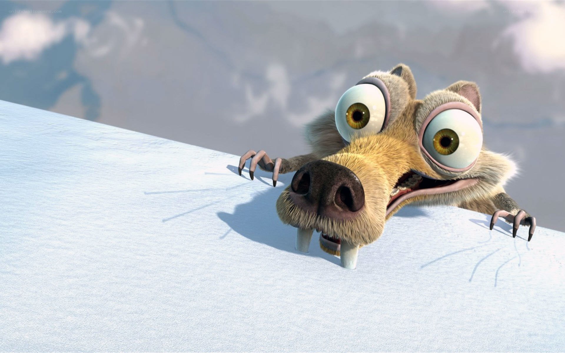 Scared sloth on snowy slope