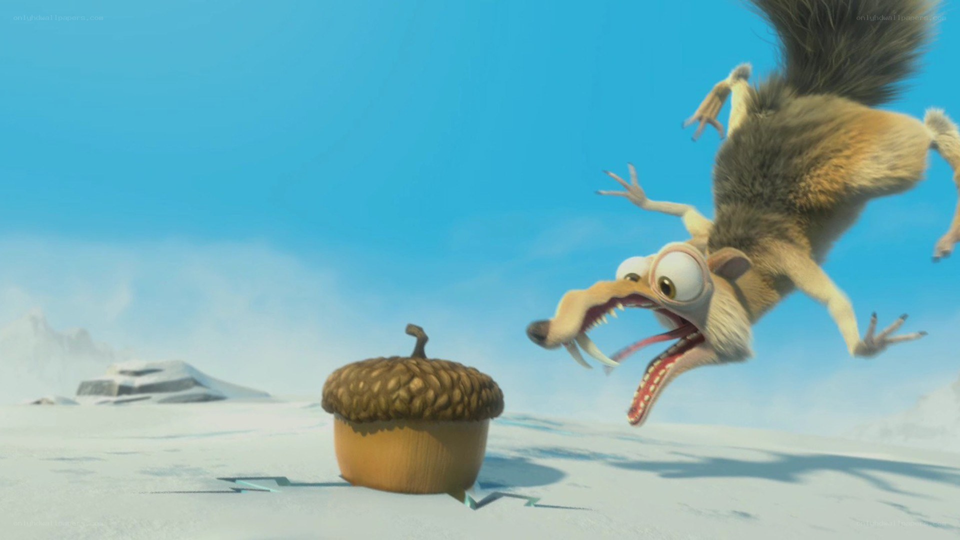Scared squirrel jumps at acorn