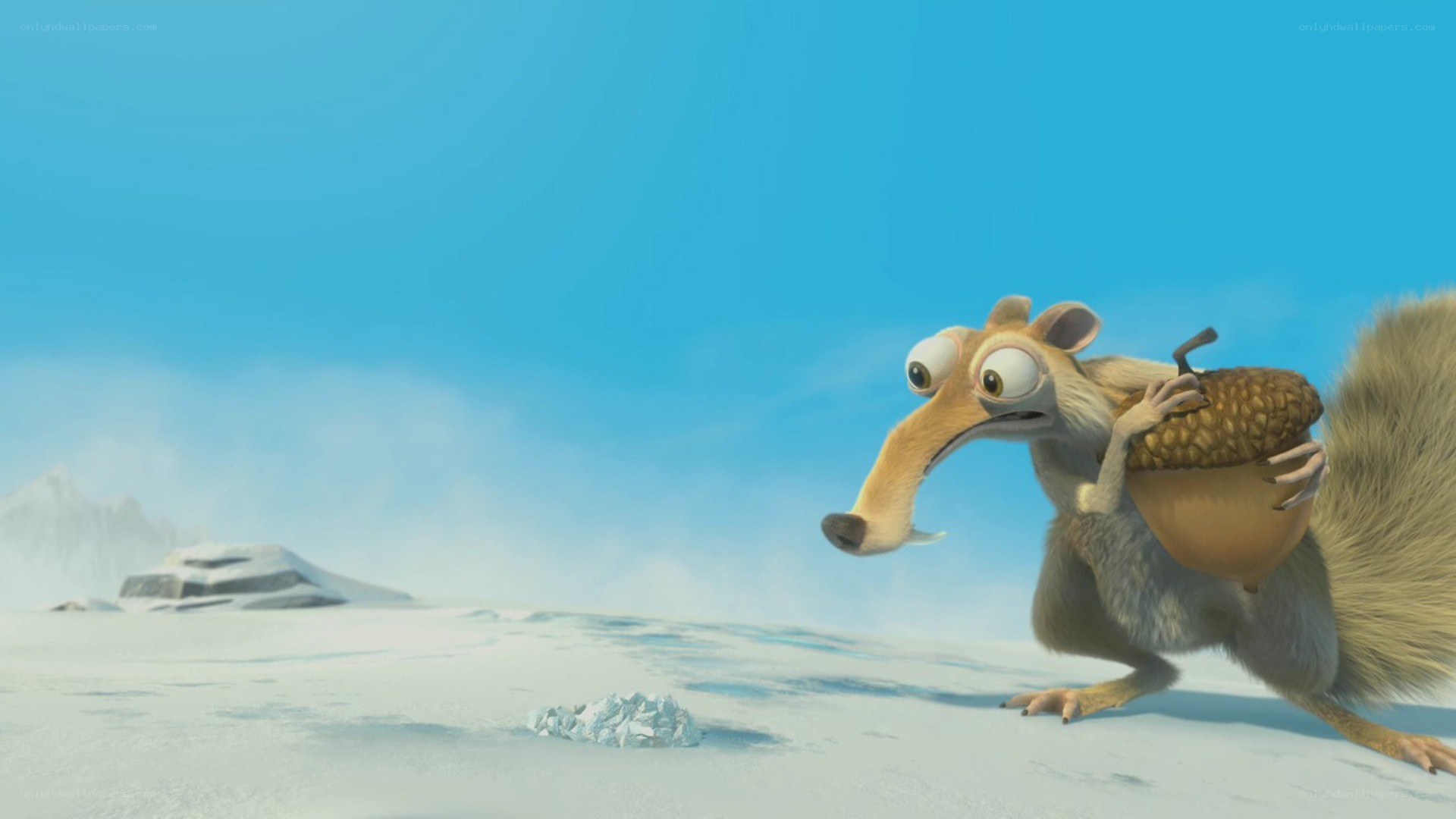 Scared squirrel with acorn