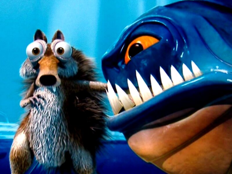 Scared squirrel with shark