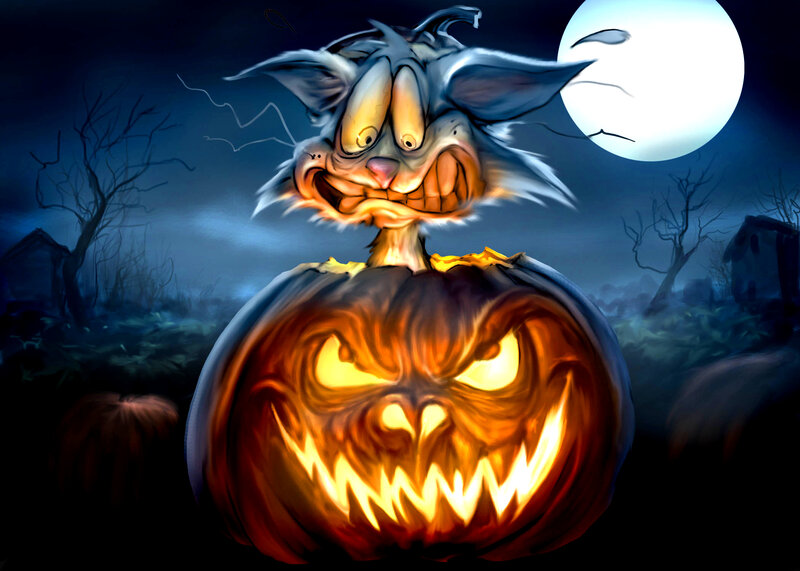 Scary Cat in Pumpkin — Orange