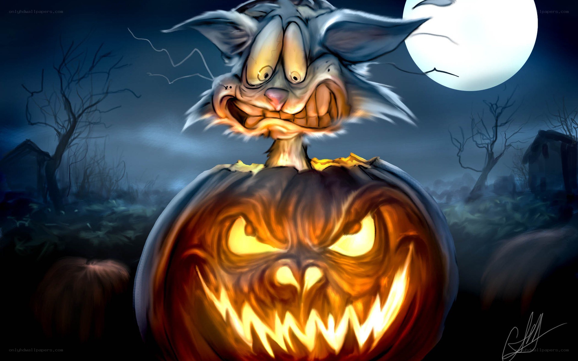 scary cat in pumpkin