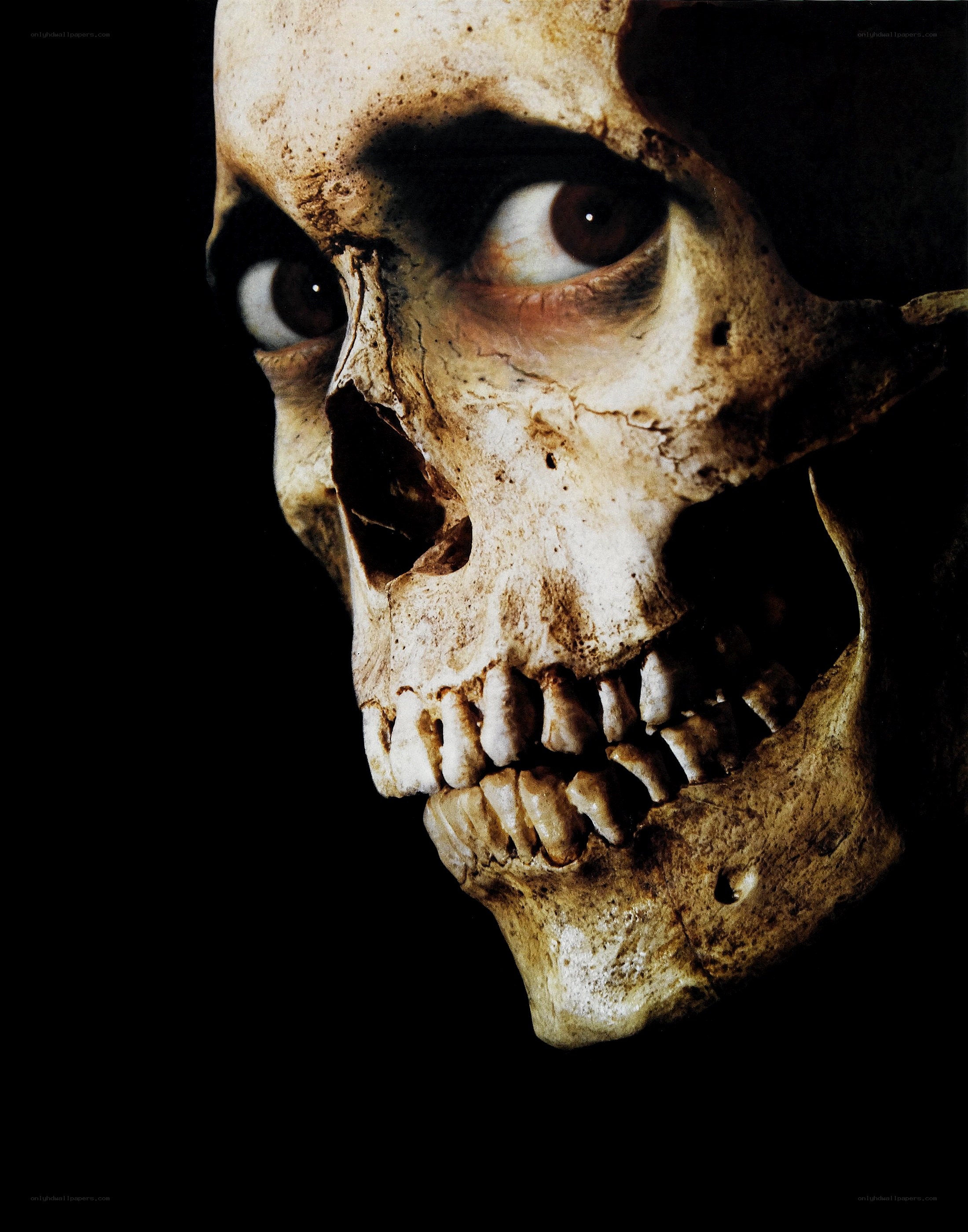scary skull with eyes