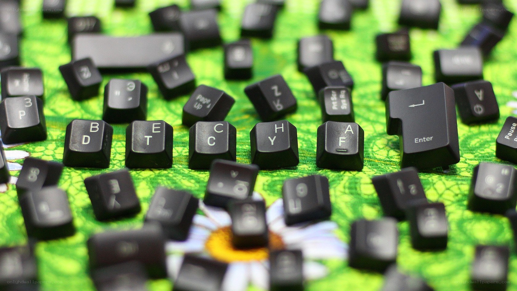 Scattered keyboard keys on green surface