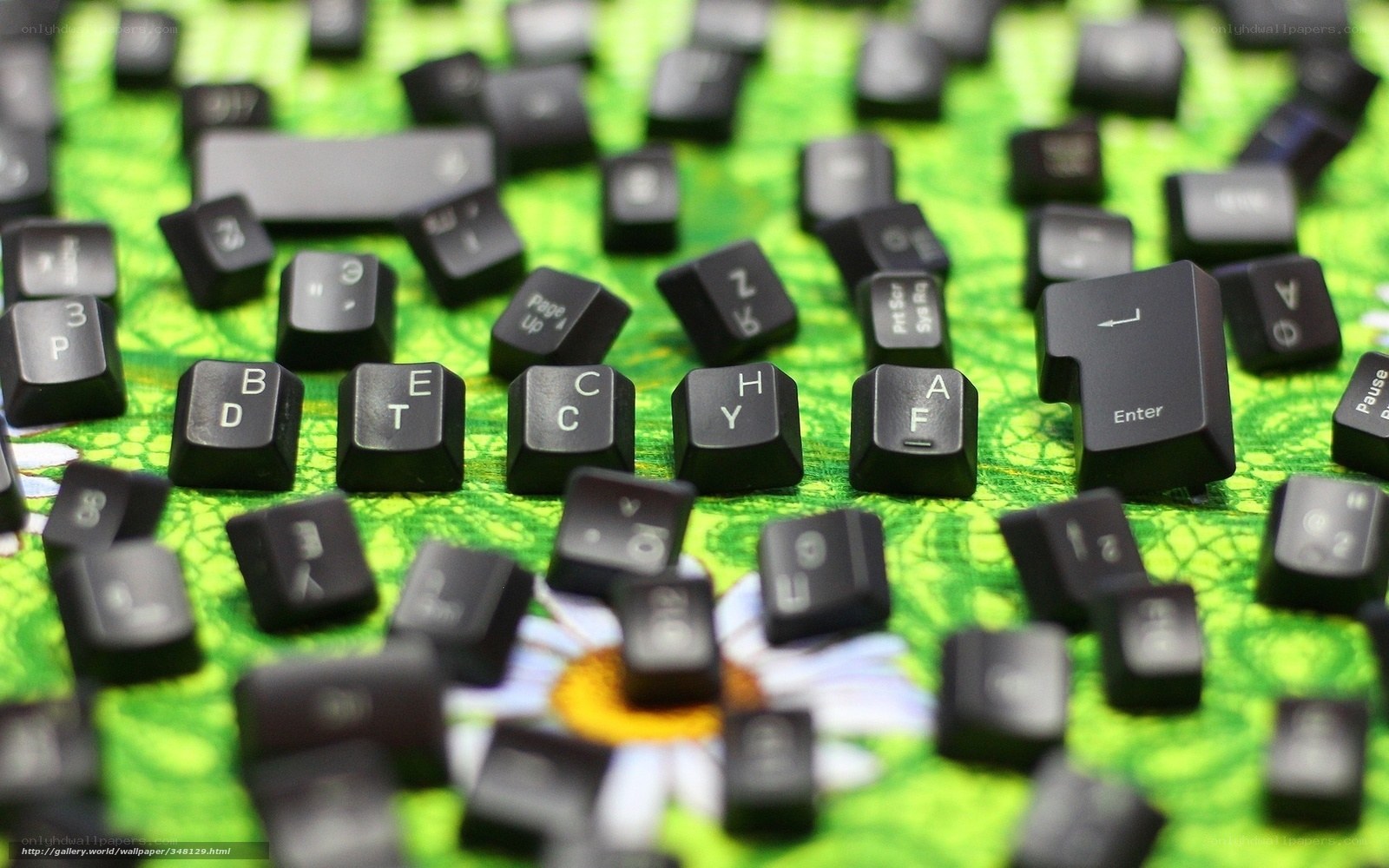 Scattered keyboard keys on green surface