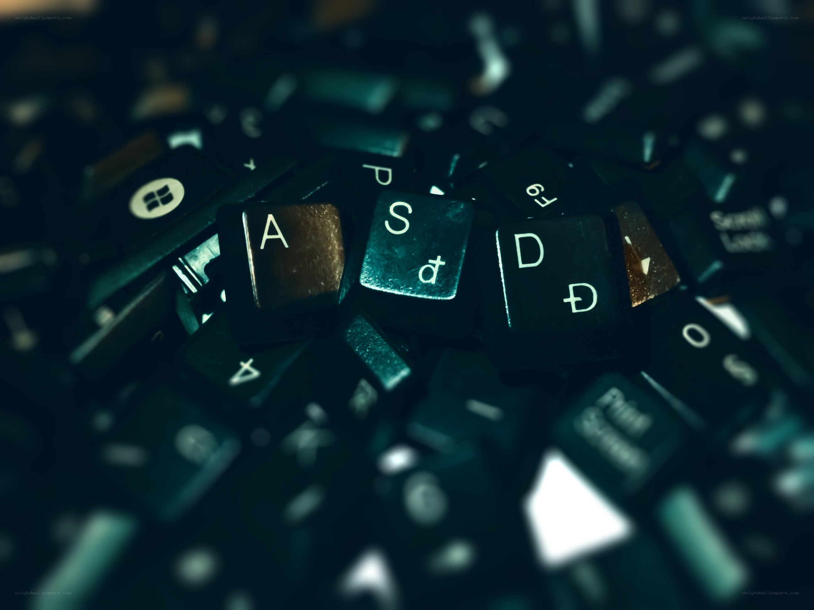 scattered keyboard keys