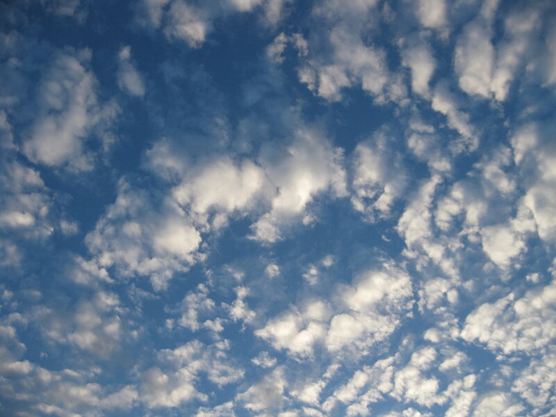 Scattered White Clouds
