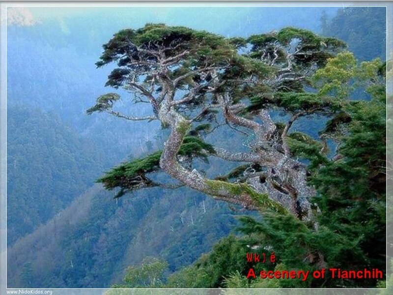 Scenery of Tianchi