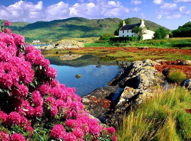 Scenic cottage by a loch