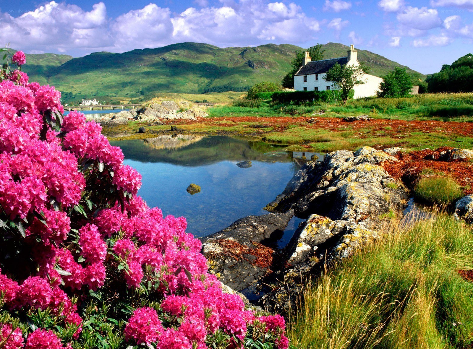 Scenic cottage by a loch