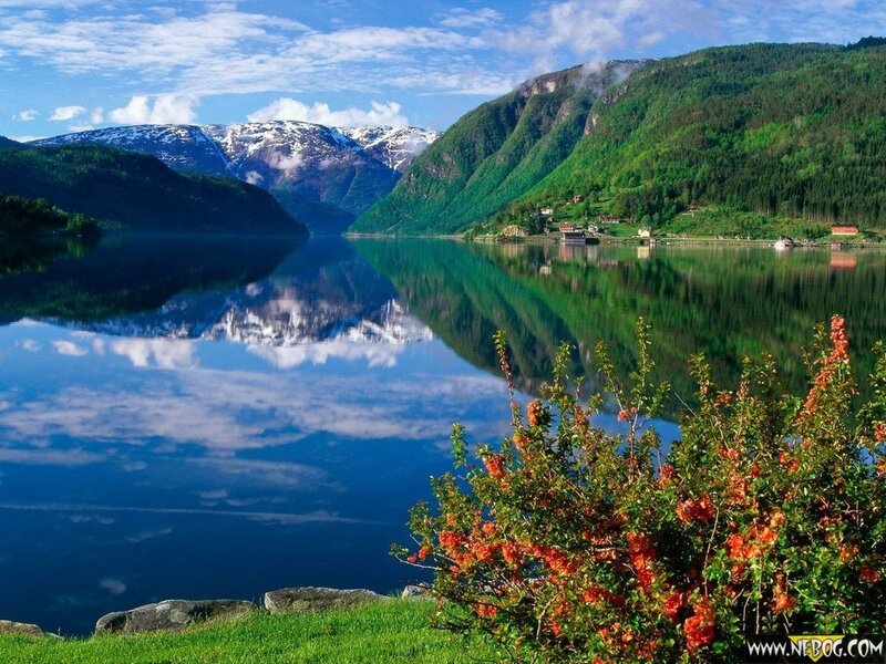Scenic fjord with mountain reflection