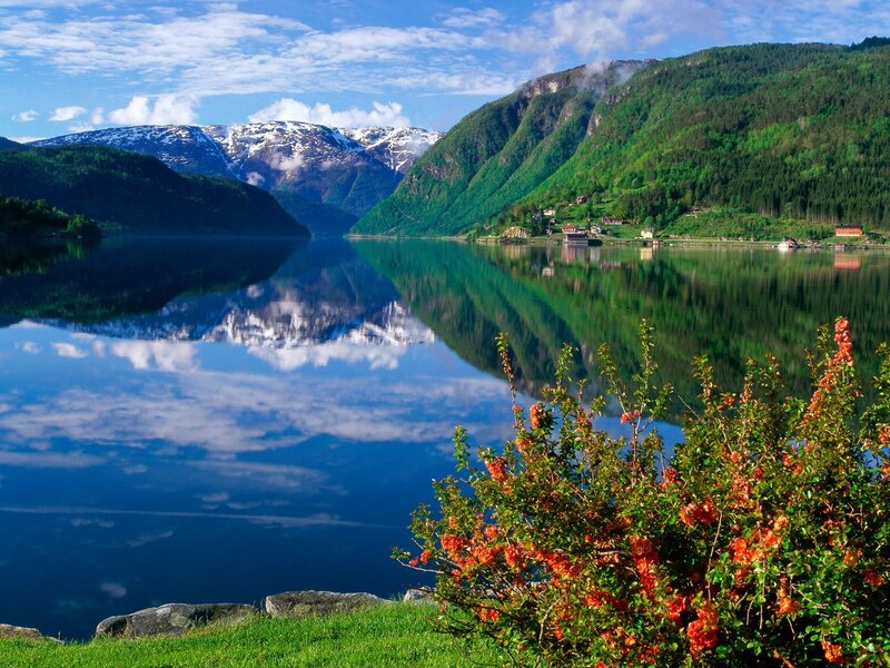 Scenic fjord with mountain reflection
