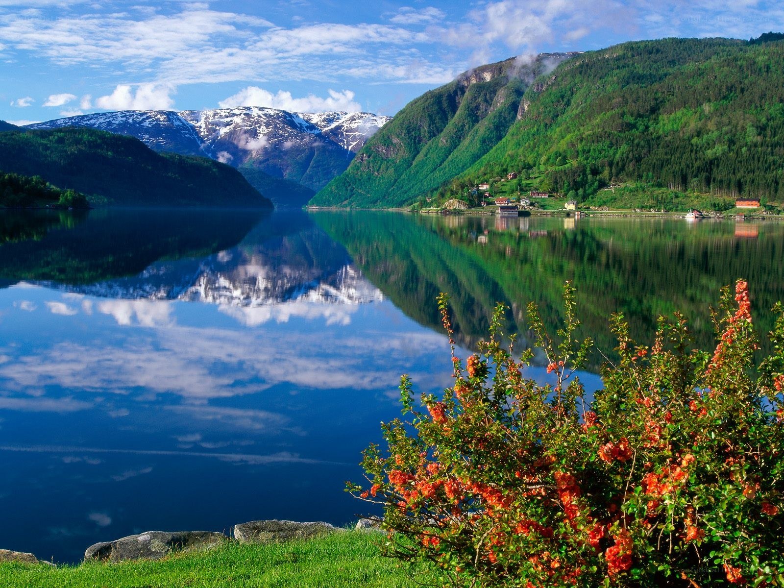 Scenic fjord with mountain reflection