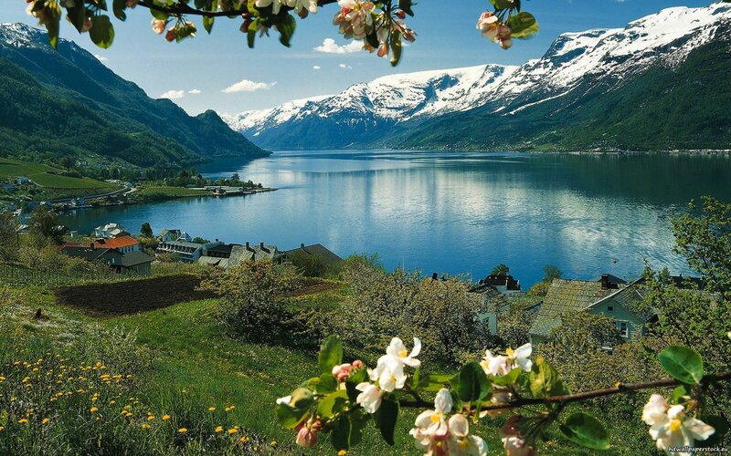 Scenic fjord with snow-capped mountains