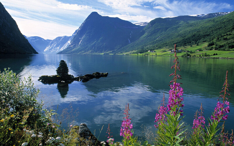 Scenic fjord with wildflowers