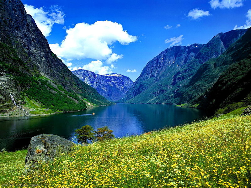 Scenic fjord with wildflowers