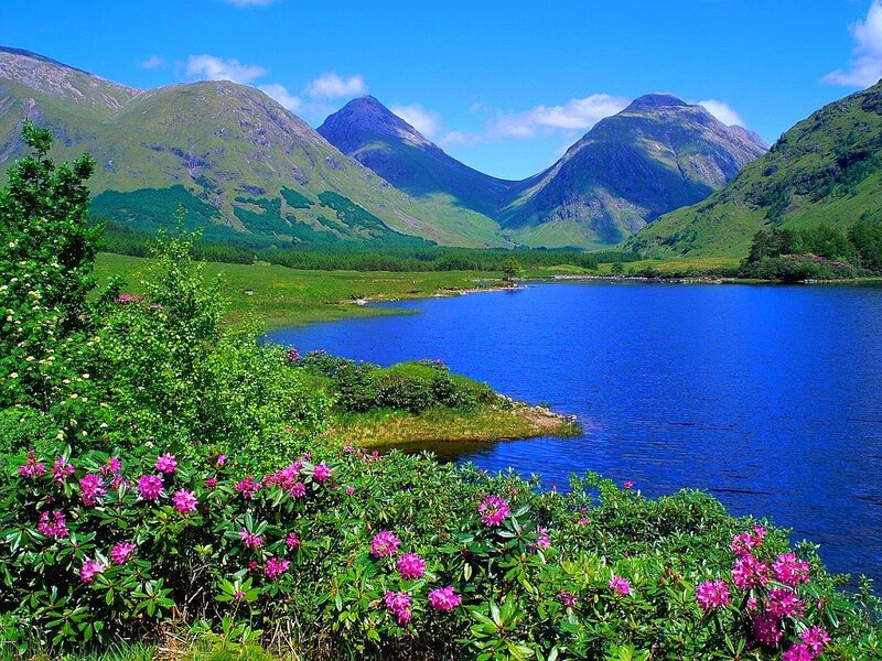 Scenic mountain lake with flowers
