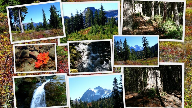Scenic nature collage