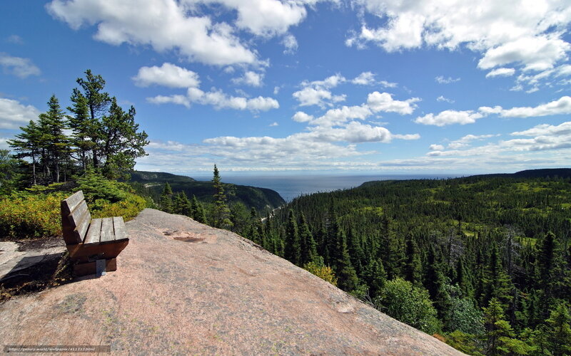 Scenic overlook with bench