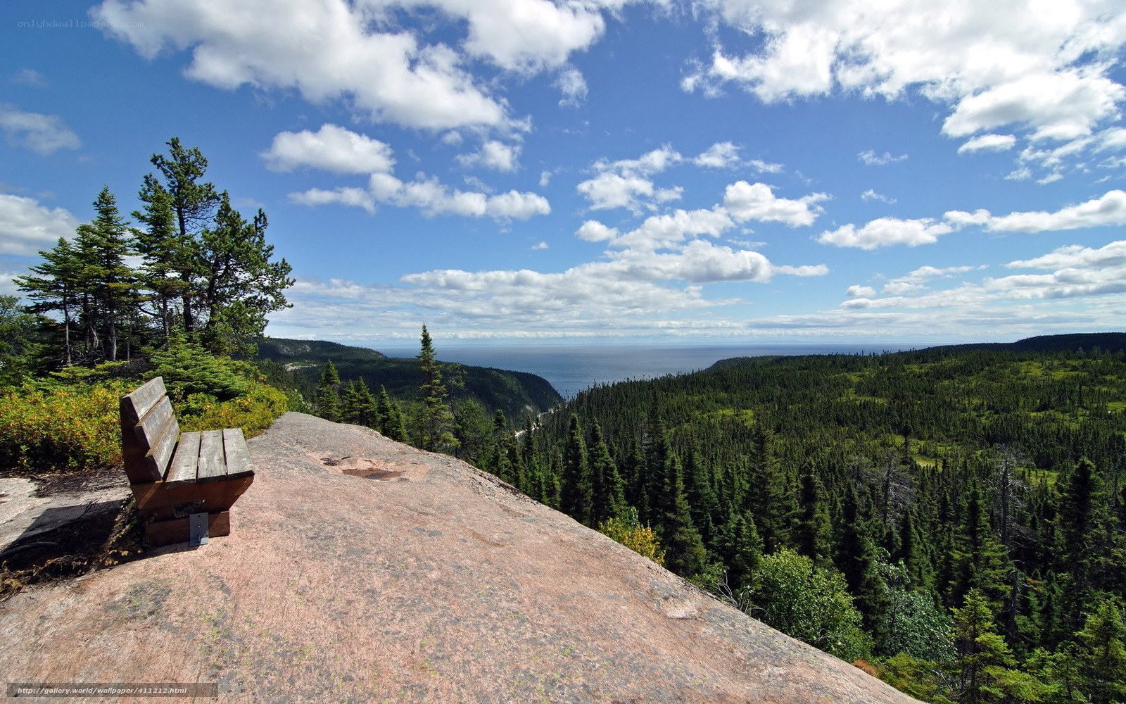 Scenic overlook with bench
