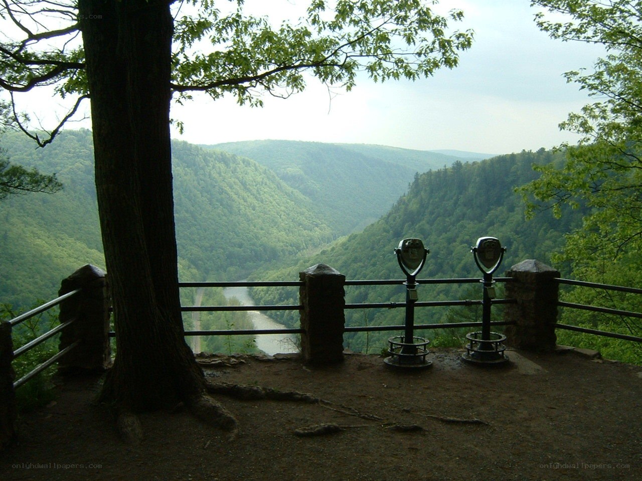 Scenic overlook with binoculars