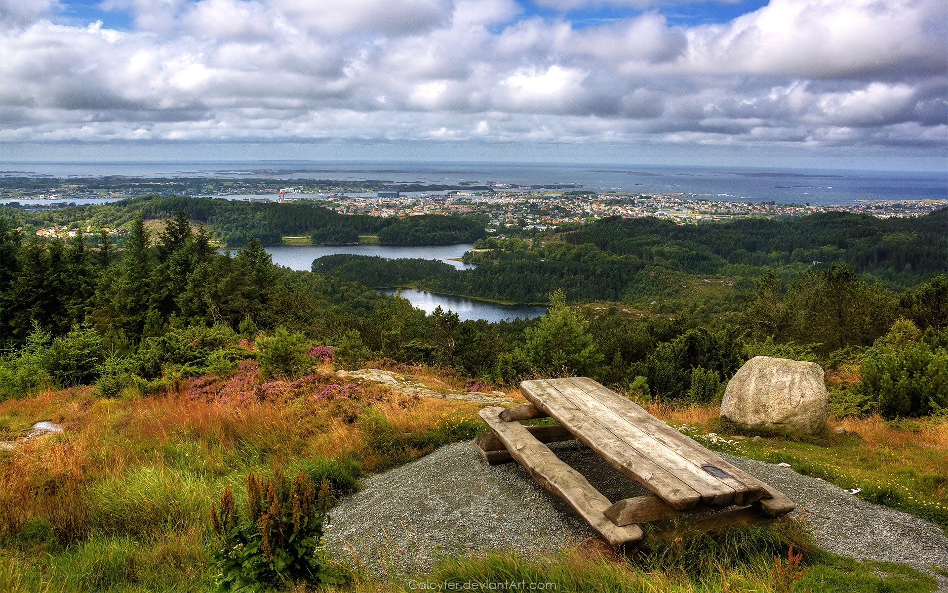 Scenic overlook with picnic table