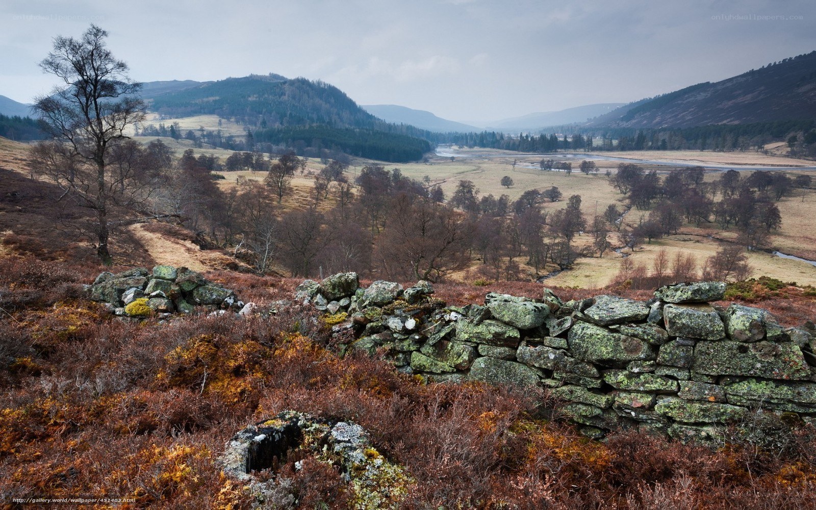 Scenic valley with stone wall