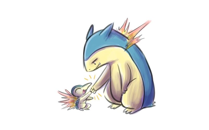 Sceptile and Torchic interacting