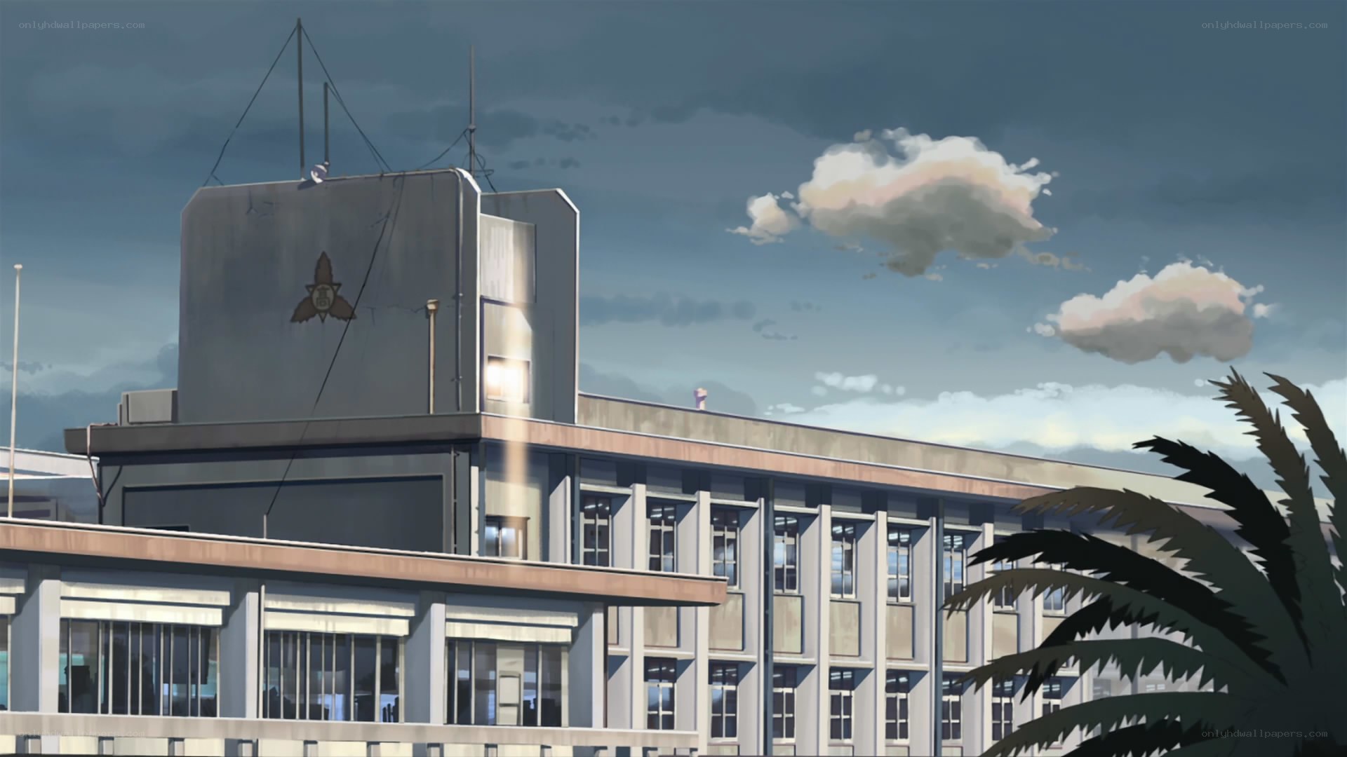 school building with palm tree