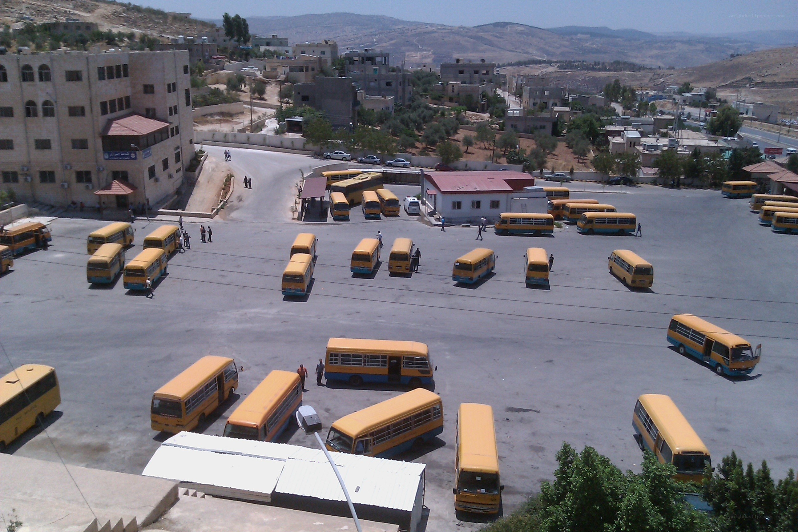 School buses in a parking lot