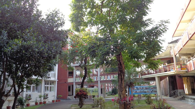 school courtyard with trees