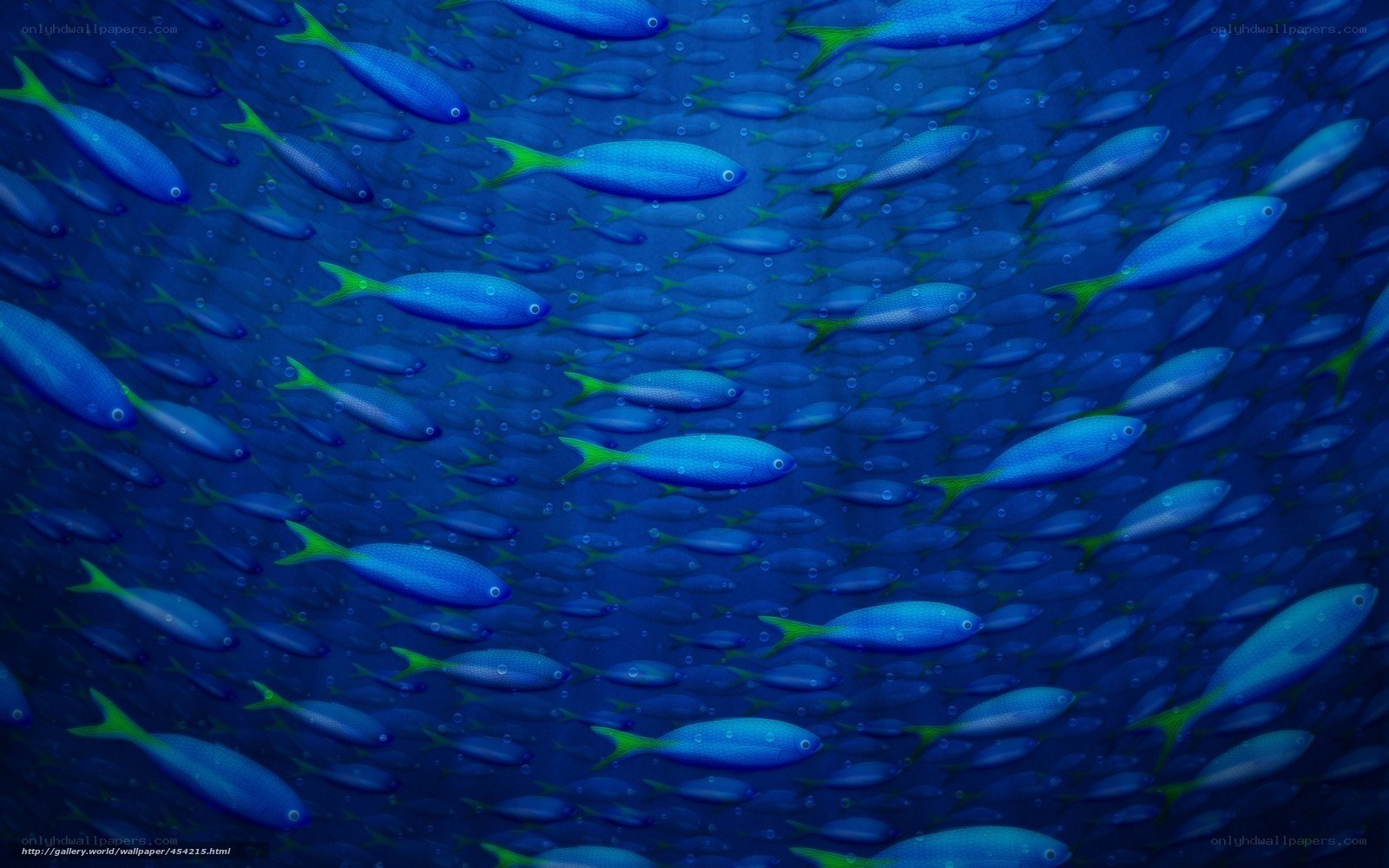school of blue fish
