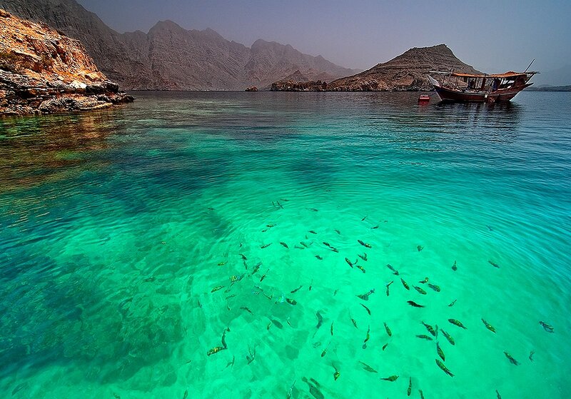 School of Fish in Turquoise Water — Serene, Afternoon