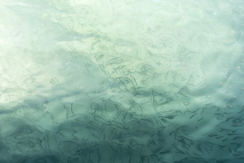 School of Fish in Water — Green, Calm, Photograph