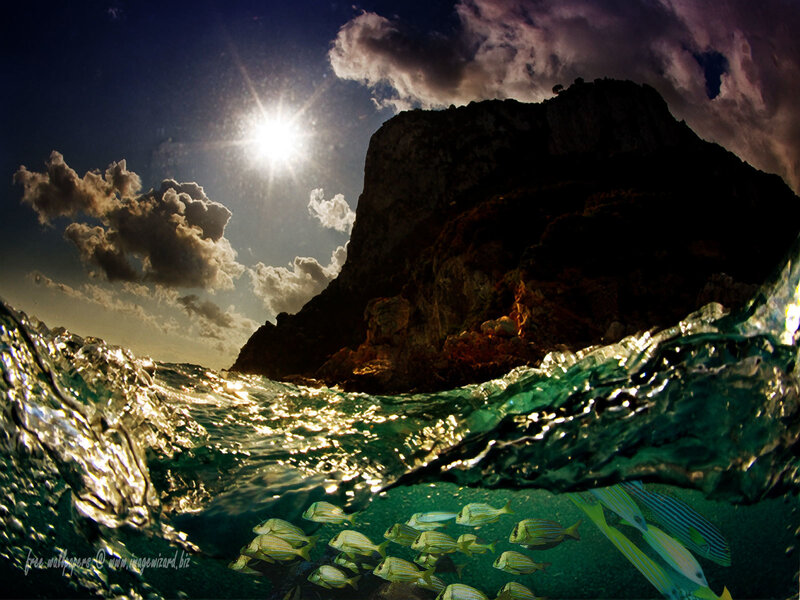 School of Fish Near Cliff
