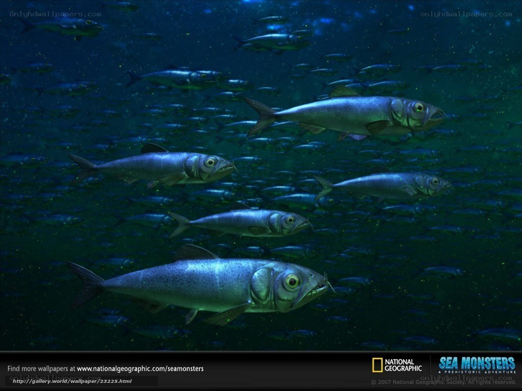 School of prehistoric fish