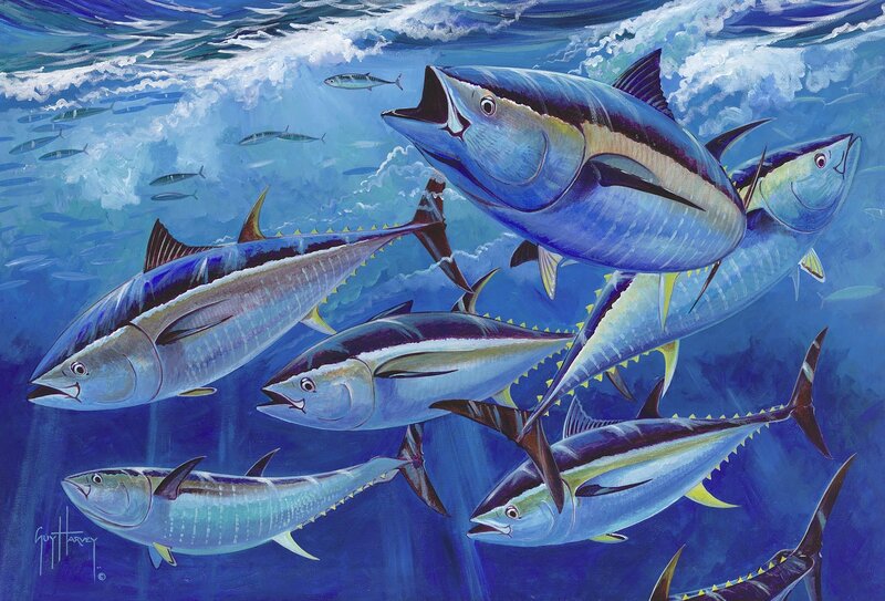 School of Tuna Fish