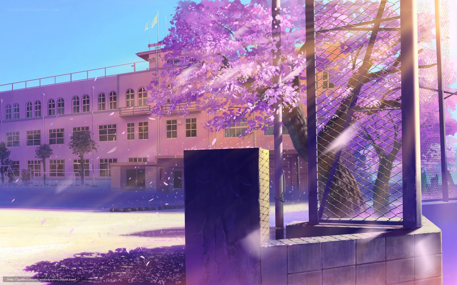 School with cherry blossoms