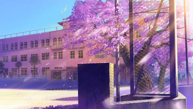 School with cherry blossoms