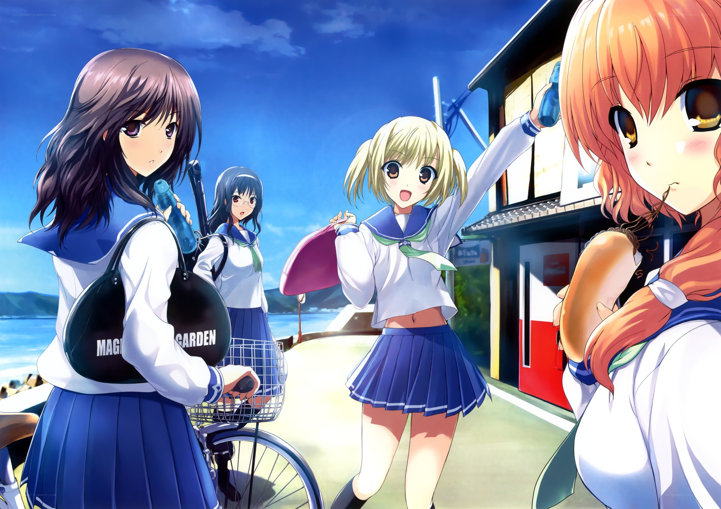 Schoolgirls by the seaside