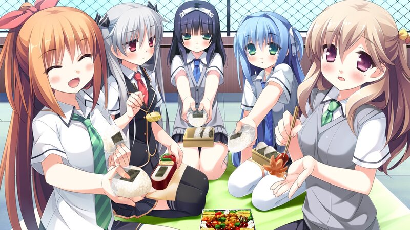 schoolgirls having a picnic